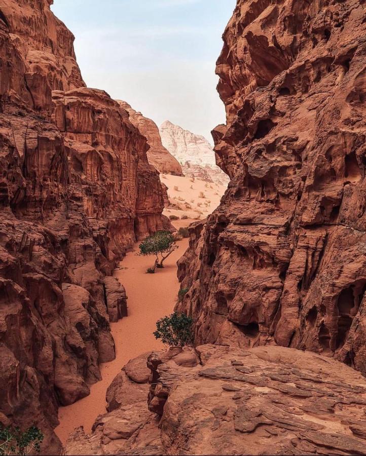 Wadi Rum Camp Exterior photo