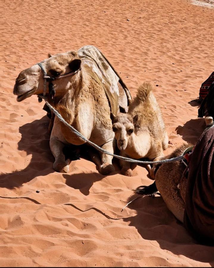 Wadi Rum Camp Exterior photo
